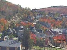 AutumnViewFromHotel