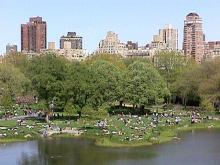 CentralParkOverview