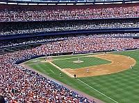 Infield
