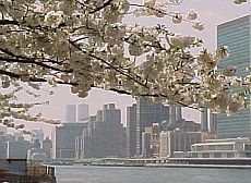 FromRooseveltIsland