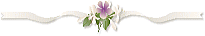 VioletCornerLeft