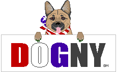DOGNY