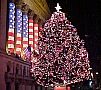 WallStreetTree