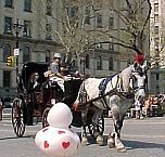 HorseCarridge