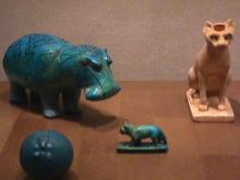 HippoDisplay