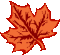 MapleLeaf