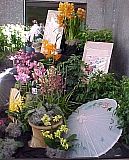 JapaneseInstallation