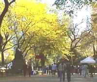 AutumnCentralPark