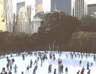 CentralParkRink