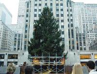 RockefellerCenterTree