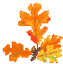 oakleaves
