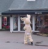 WoodburyCommonBunny