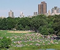 CentralParkView